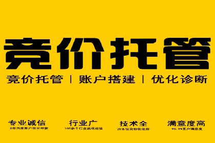 托管竞价SEM实战案例分享